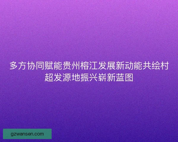 多方协同赋能贵州榕江发展新动能共绘村超发源地振兴崭新蓝图