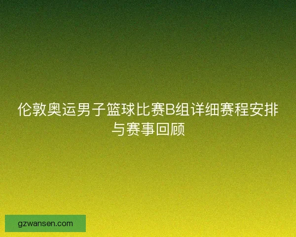 伦敦奥运男子篮球比赛B组详细赛程安排与赛事回顾
