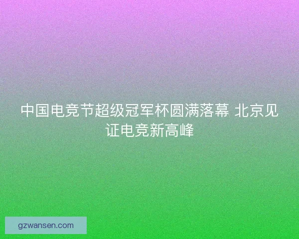 中国电竞节超级冠军杯圆满落幕 北京见证电竞新高峰