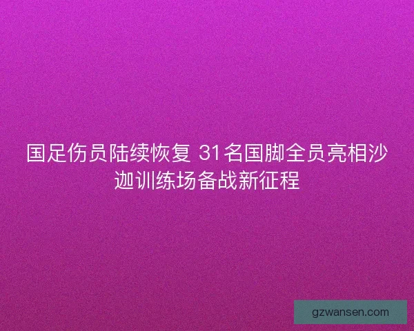 国足伤员陆续恢复 31名国脚全员亮相沙迦训练场备战新征程